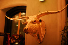 Costumes, Models, and Specialty Props